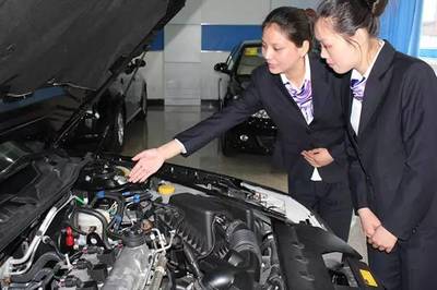 我們的專業|帶您走近汽車技術服務與營銷